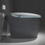 Toilette grise intelligente, fonction de siège automatique, capteur de pied, fonction de lavage arrière du couvercle de la salle de bain, contrôle du capteur, arrivée d'eau chaude, finition-124317396