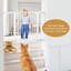 Barrière pour animaux 30 po-62303677