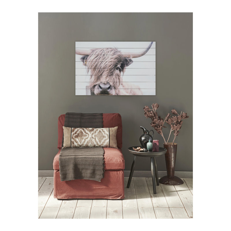 Highland Cow Photographic Print on Fir Wood Wall Art