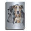 «Greyhound» par Barbara Keith-1573417628