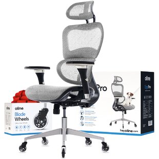 https://assets.wfcdn.com/im/99926696/resize-h310-w310%5Ecompr-r85/1901/190131798/ergopro-rolling-ergonomic-mesh-executive-office-chair.jpg