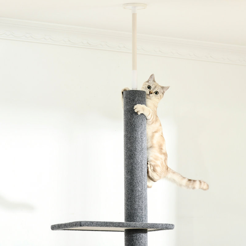 Structure grimpante pour chat gris, plancher-plafond de 8,5 pi de hauteur réglable avec plateformes et poteaux pour jouer au chaton, grimpeur l 10,75 po x H 102,25 po, tapis moelleux multiples, centre d'activités