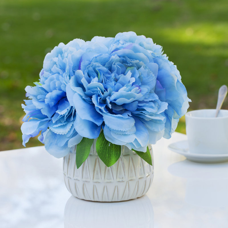 Arrangements floraux d'hortensias en pot, Bleu