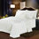 Stodghill Velvet Solid Colour Bedspread