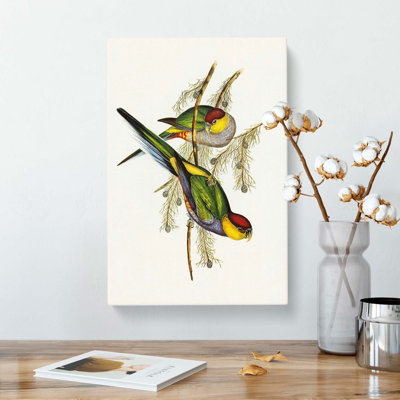 Parakeets by Elizabeth Gould - Wrapped Canvas