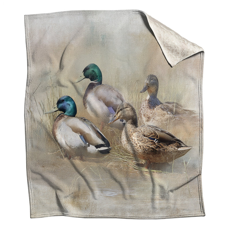 Canards colverts dans des couvertures de champ, L 50 po x H 60 po