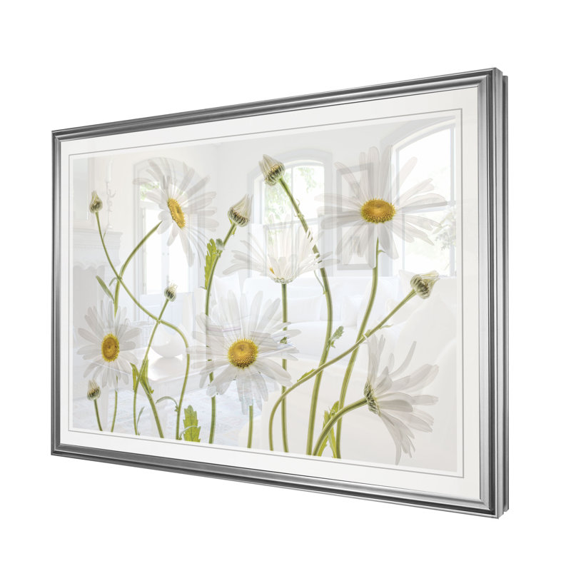 «High Kew Daisies», reproduction, H 30 po x l 45 po x 1,5 po, Cadre argenté