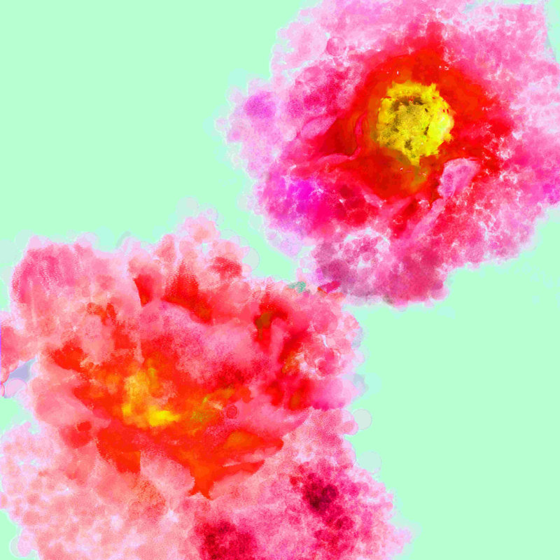 Aquarelle de fleurs 4 - peinture sur toile tendue, H 30 po x l 30 po