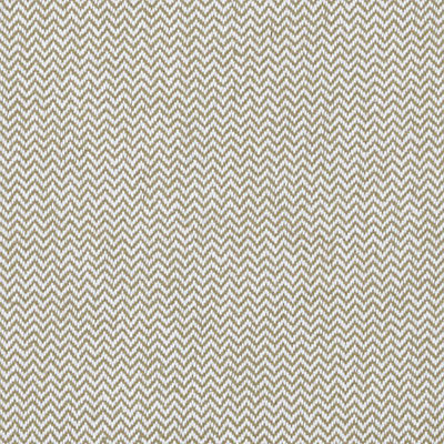 Delhi Fabric
