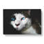 Portrait Of A Cat Vol.10 - Wrapped Canvas-61838251