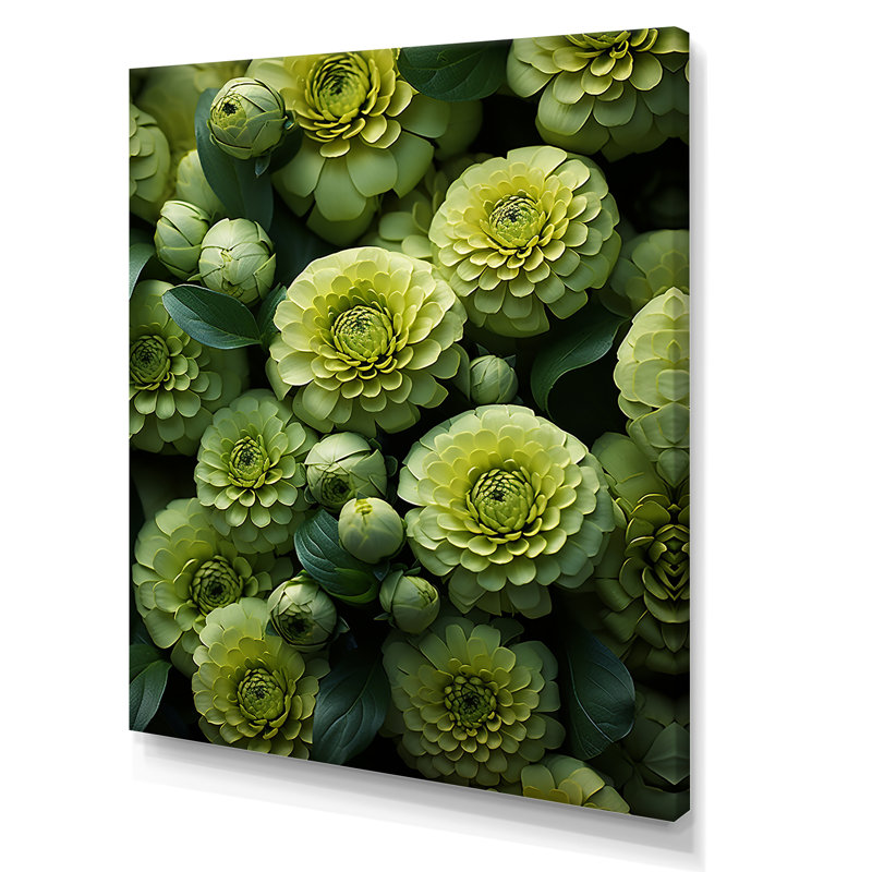 «Twilight Green Zinnias Flowers» sur toile, Toile tendue, 40" H x 30" W
