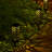 Solar Powered Garden and Tabletop Lights - 4 Count