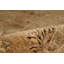 Wool Oriental Area Rug in Camel/Beige