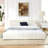 Queen Size Upholstered Bed Frame With Chenille Fabric With Pleated Design,Grounded Queen Size Platform Bed With Headboard And Solid Frame，No include  Box Spring-1192816231