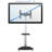 Mount-It! Mobile TV Cart, Height Adjustable Rolling Stand with Component Shelf and Rolling Casters