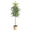 Pin artificiel en pot Winniepeg