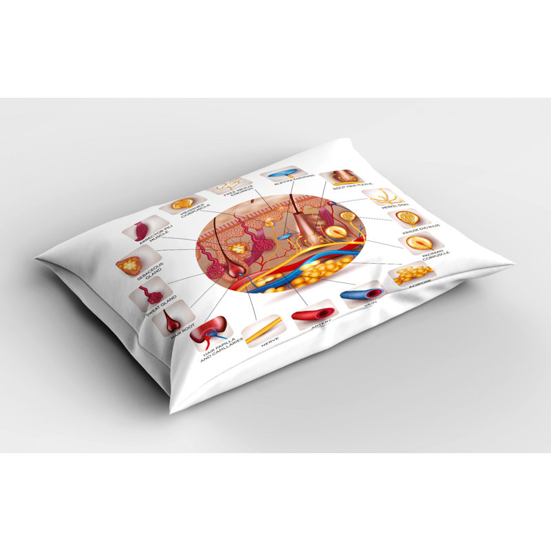 Educational Polyester Sham Set, Twin