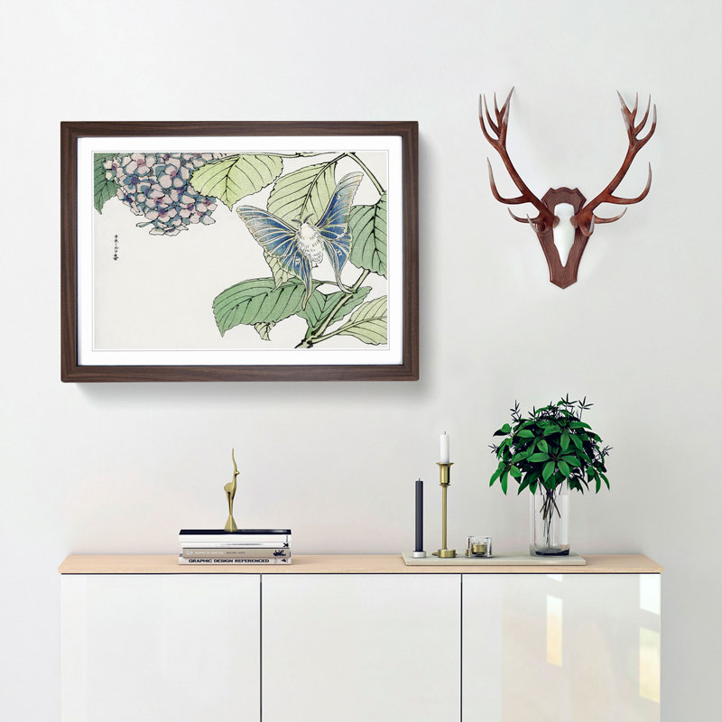 Moth & Hydrangea by Morimoto Toko - Picture Frame Painting Print, Walnut Framed, 36cm H x 48cm W x 2cm D