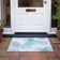 Altair Flatweave Washable Abstract Indoor / Outdoor Rug