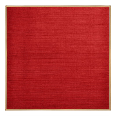 Machine Washable Solid Red Area Rug