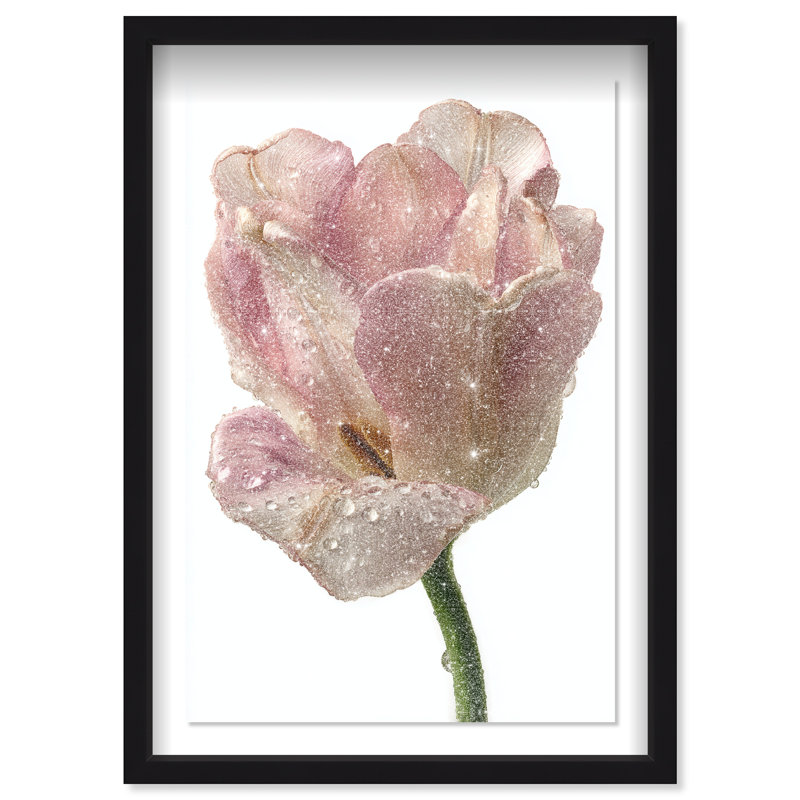 Droplet Tulip II Shadowbox Floral & Botanical Print by Oliver Gal, Black Frame, 10 x 15, 17.5"H x 25.5"W, Black Shadowbox