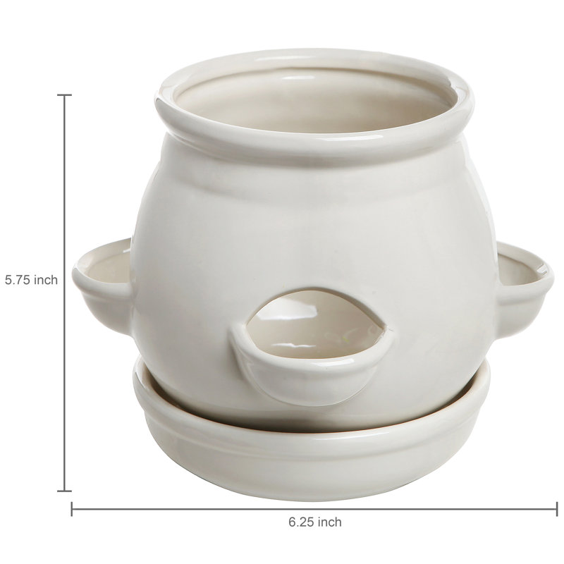 Ceramic Pot Planter