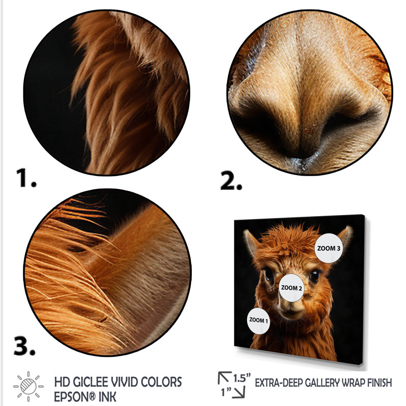 Alpaga serein en élégance naturelle - art mural Alpaca, Cadre flottant blanc, H 30 po x l 30 po x P 1,5 po