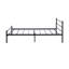 Metal Bed