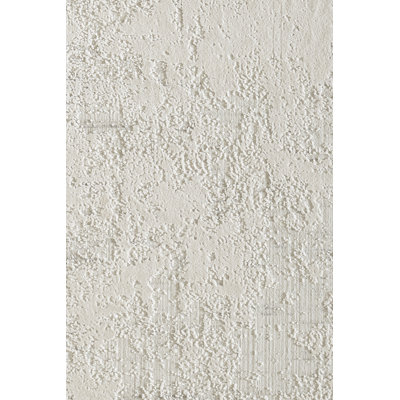 Shaniya Indoor Rug