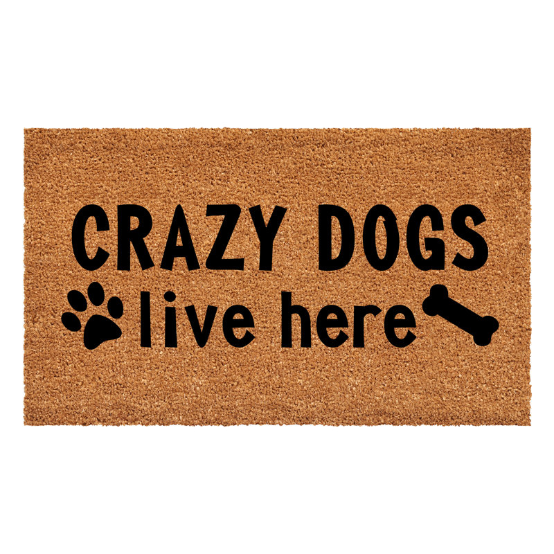 Tapis d'intérieur et extérieur antidérapant Cannava Crazy Dogs Live Here, L 17 po x L 29 po