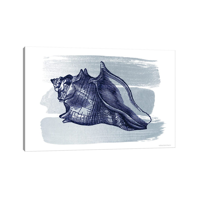 Brushed Midnight Blue Seashell by Bluebird Barn - Print on Canvas, 20.32 cm H x 30.48 cm W, Wrapped Canvas