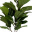 Organic Modern 4' Faux Fiddle Leaf Tree