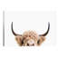 Peeking Cow - Wrapped Canvas Print-651292560