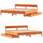 Storage Bed-1886875267-1886875265