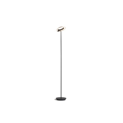 Royyo 45.5'' LED Floor Lamp