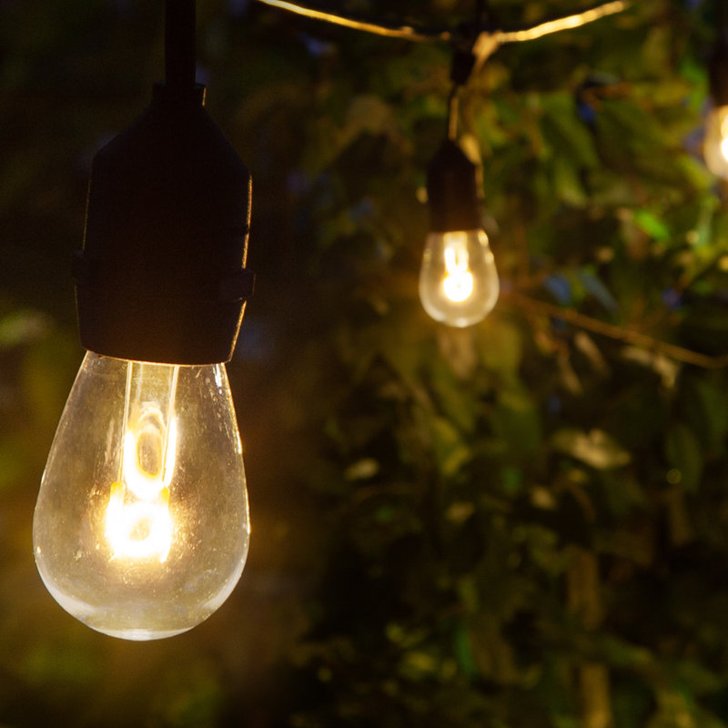 Brampt Outdoor 15 - Bulb 45'' Plug-in String Light
