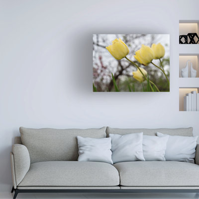 Art sur toile «bolologic Suzanne Bonin In Good Company»