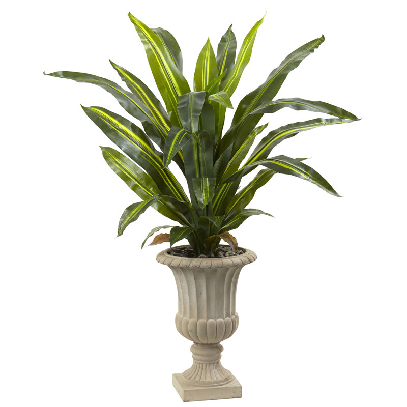 Plante dracaena artificielle 40" en urn