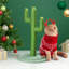 Grattoir pour chat 26 po Cactus