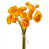 Yellow selected