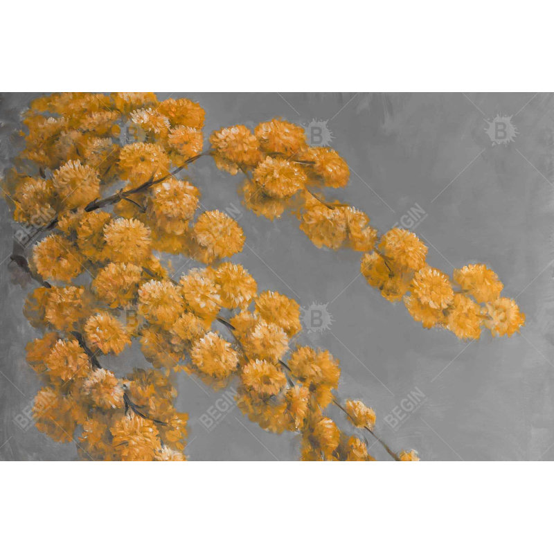 " Golden Wattle Plant "