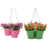 Apple Green/Hot Pink