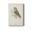 Petite chouette - impression sur toile tendue-1669904249