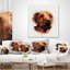 Visage de chien brun - aquarelle-30744632-30744628