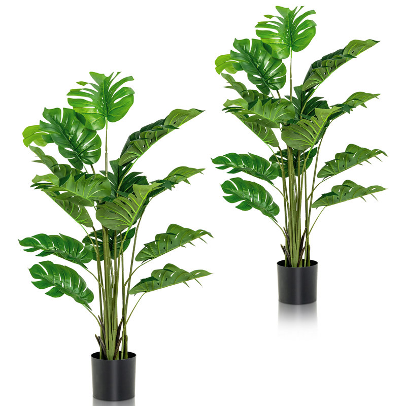 60 plantes
