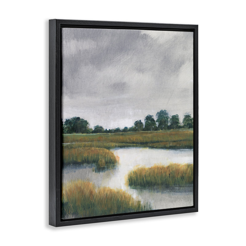 Paysage de marais nuageux, H 21 po x l 17 po, Cadre flottant noir de jais