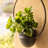 Schunemunk Iron 2-Piece Wall Planter Set