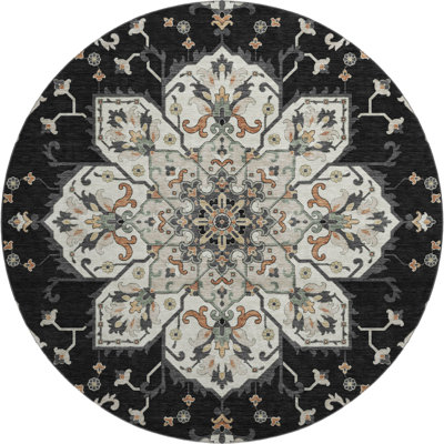 Premium Machine Washable Mayfield AMF2194 global Rug