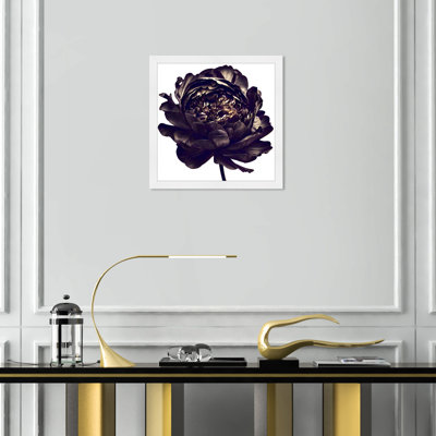 Pivoine noire - cadre photo