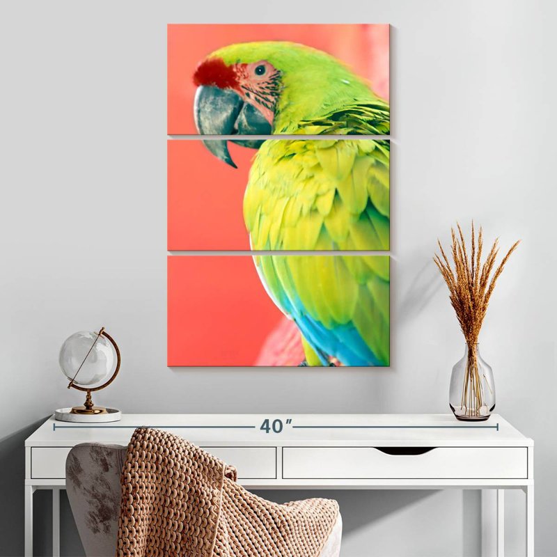 Brampt Green Macaw, 32" H x 20" W